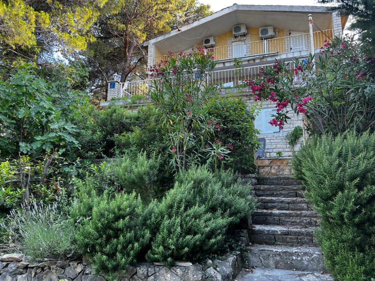 Apartmani Lidija Karin Donji Donji Karin 외부 사진
